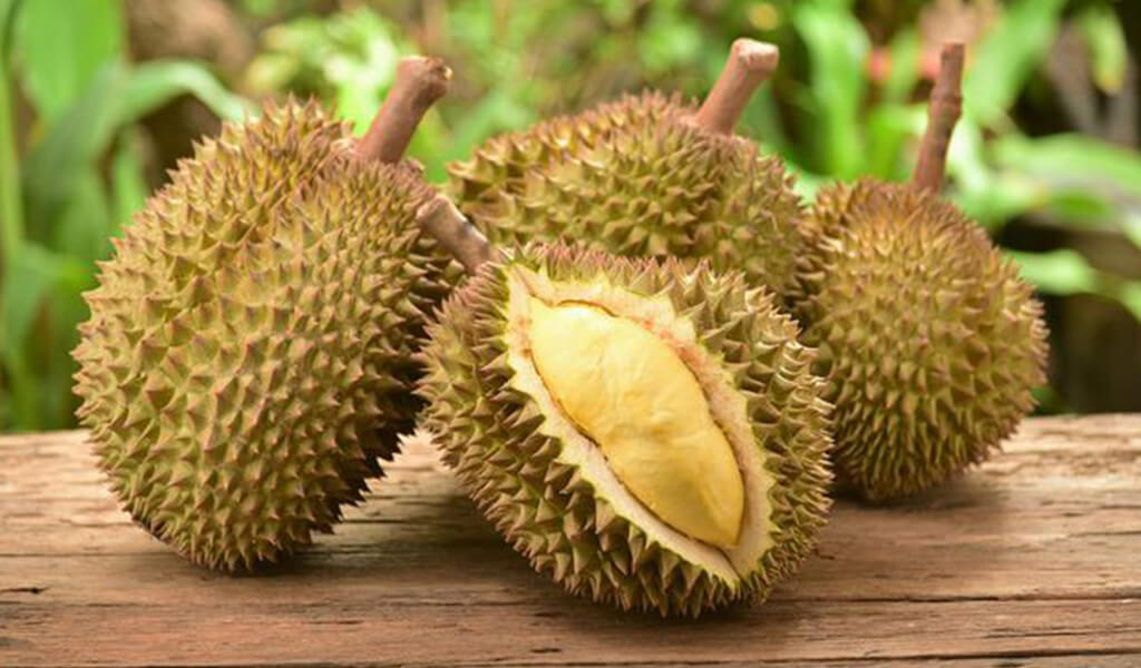 benefícios do durian para saúde