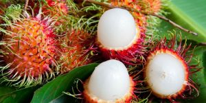 benefícios da rambutan