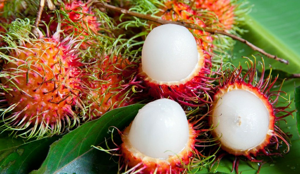 benefícios da rambutan