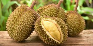 benefícios do durian para saúde