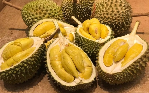 Durian faz bem para a imunidade: veja 30 benefícios da fruta