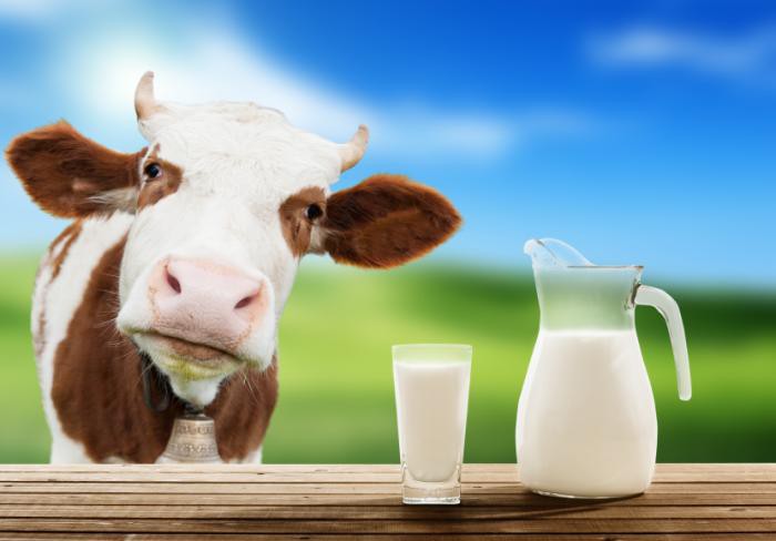 quais os benefícios do leite?