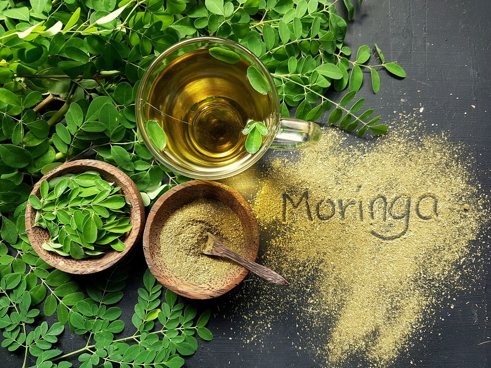 beneficios da moringa