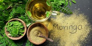 beneficios da moringa