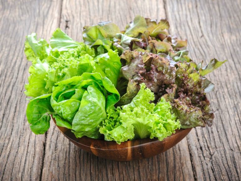 Alface: Para que serve, valor nutricional, benefícios e malefícios ...