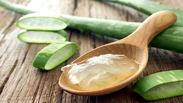 beneficios da aloe vera