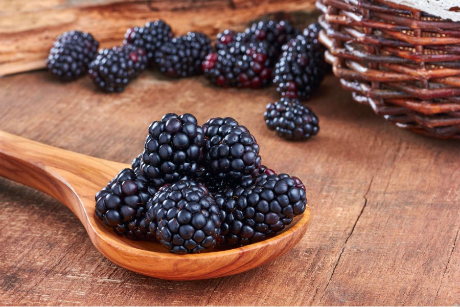 Amora melhora o colesterol: veja 30 benefícios da fruta
