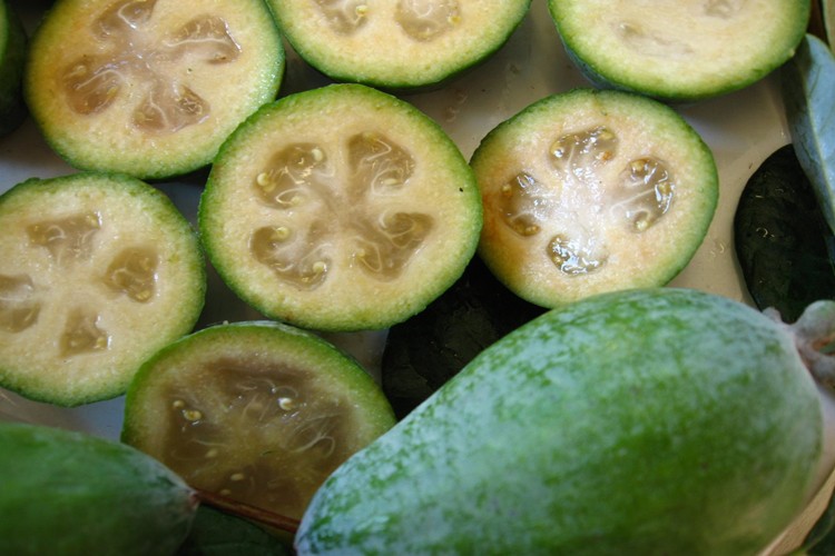 Feijoa combate resfriados: veja 20 benefícios da fruta