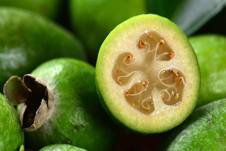 Feijoa combate resfriados: veja 20 benefícios da fruta