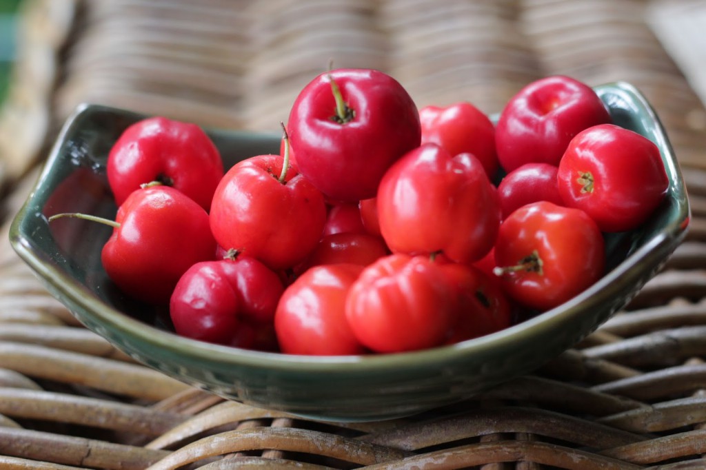 Acerola Previne escorbuto: veja 20 benefícios da fruta
