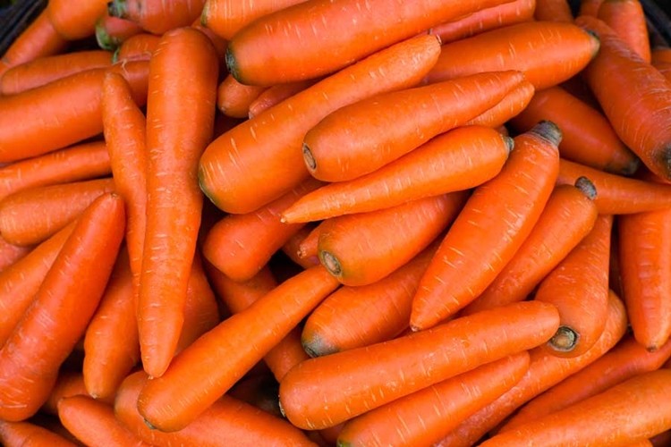 Cenoura faz bem para pele e cabelos: veja os 33 benefícios do legume