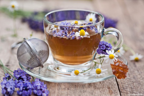 Chá de lavanda: Para que serve, propriedades, benefícios e malefícios ...