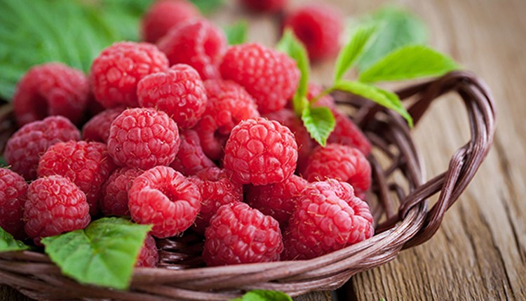 Framboesa alivia desconfortos menstruais: veja 15 benefícios da fruta