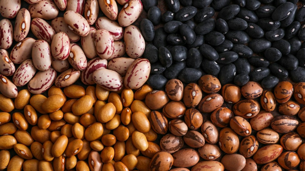 Feijão ajuda a desenvolver massa muscular: veja os 30 benefícios da semente