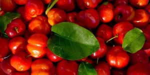 benefícios da acerola