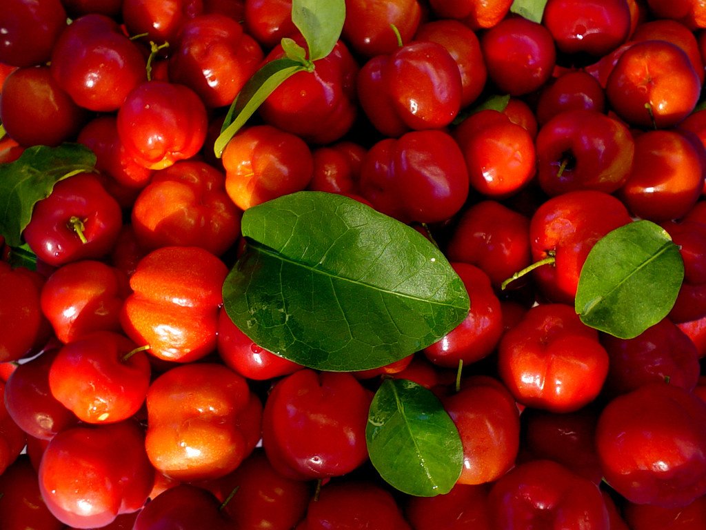 Acerola Previne escorbuto: veja 20 benefícios da fruta