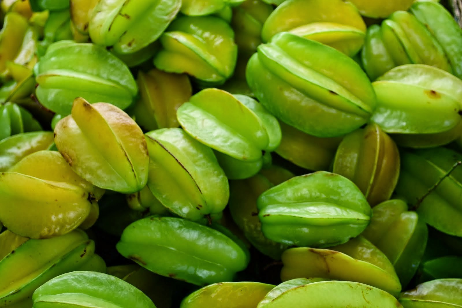 Carambola Melhora a digestão: veja 30 benefícios da fruta