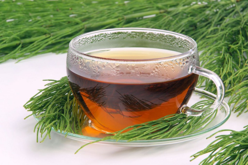 Chá de Cavalinha trata feridas da boca: veja 30 benefícios