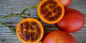 beneficios do tamarillo