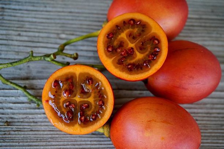 beneficios do tamarillo