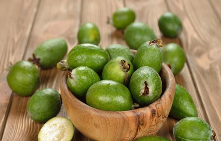 benefícios da feijoa