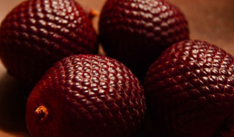 Buriti ajuda na perda de peso: veja 30 benefícios do fruto