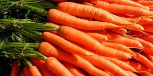 beneficios da cenoura