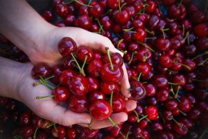 Cereja faz bem para pele e colesterol: veja 30 benefícios da fruta