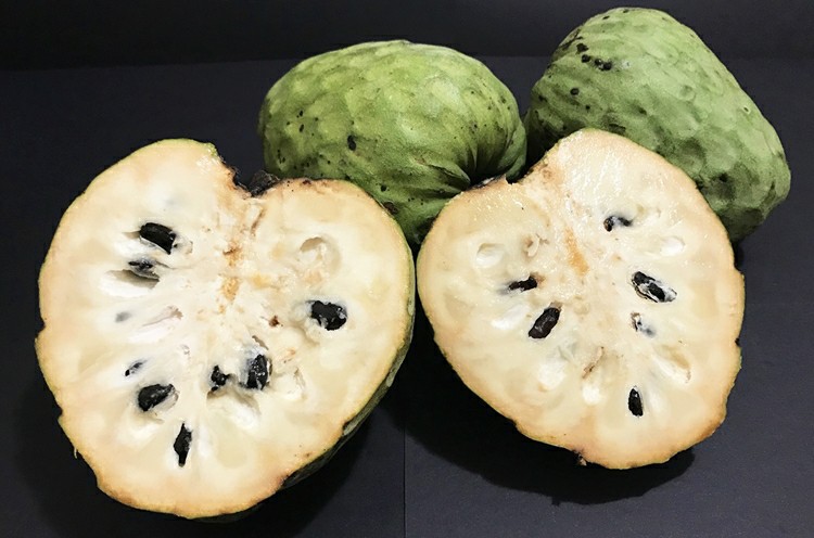 beneficios da cherimoia