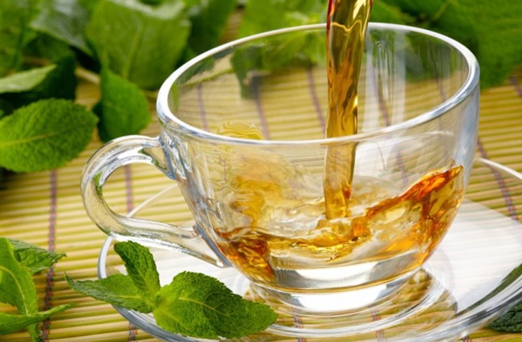 quais os benefícios do chá de boldo?