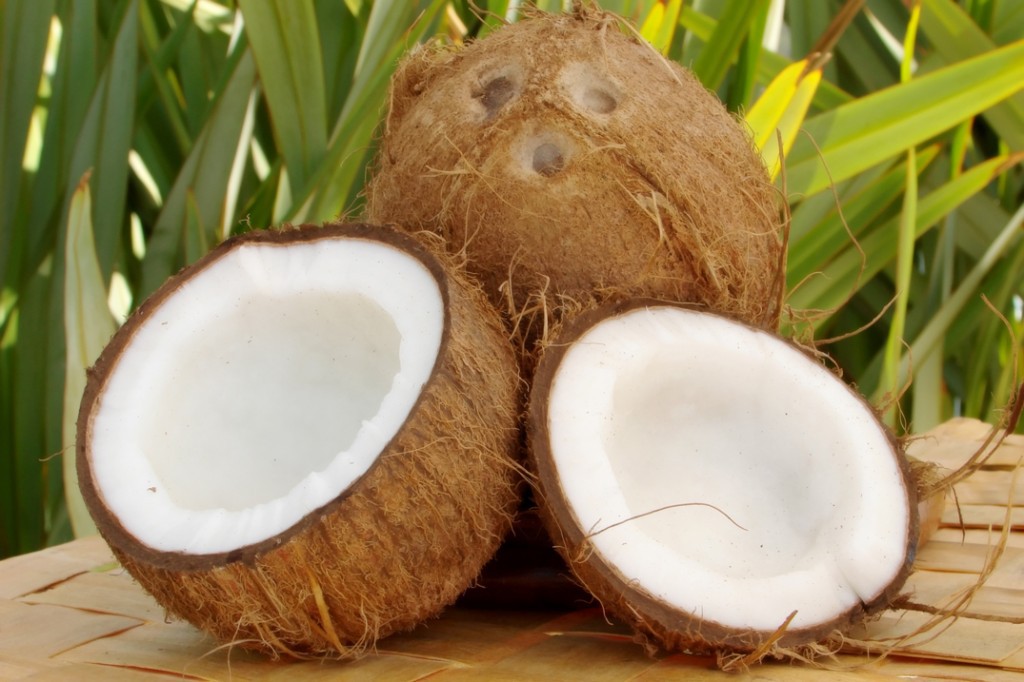 Coco ajuda na perder peso: veja 30 benefícios da fruta