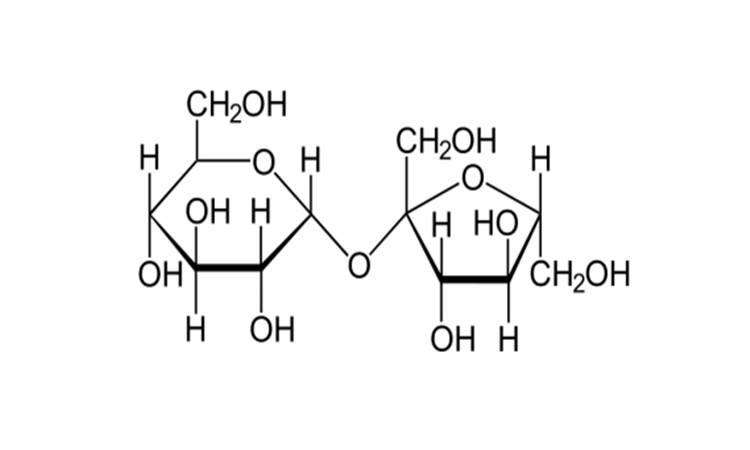 Dissacarídeos: o que é, fontes e tipos