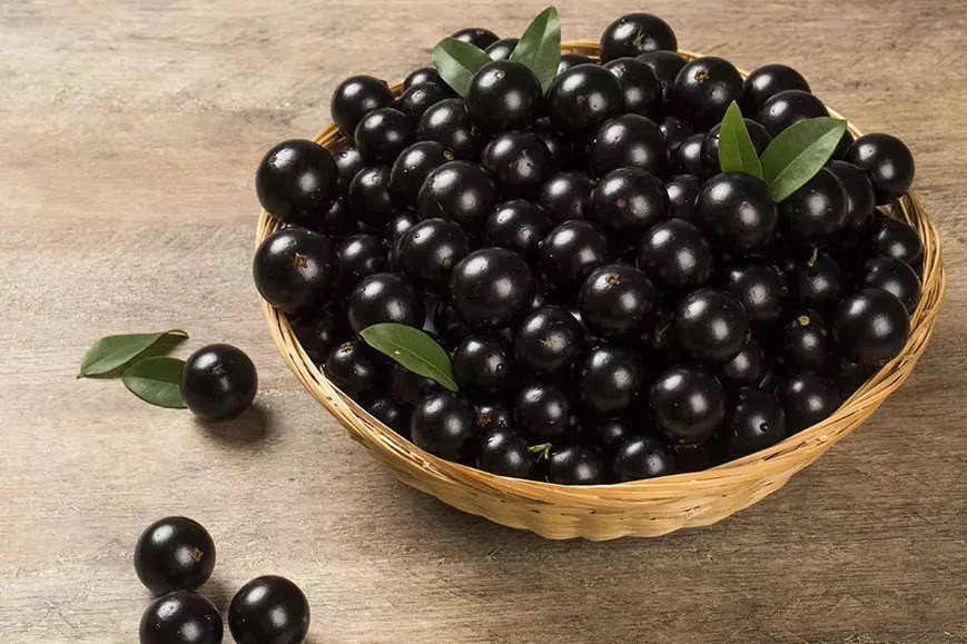 Jabuticaba faz bem para pele e cabelo: veja 23 benefícios do fruto