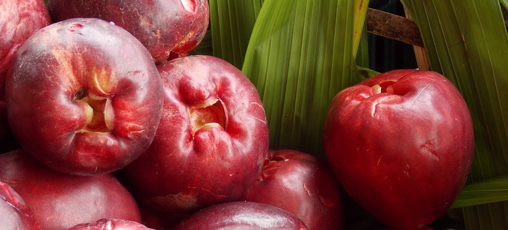Jambo fortalece a imunidade: veja 30 benefícios da fruta