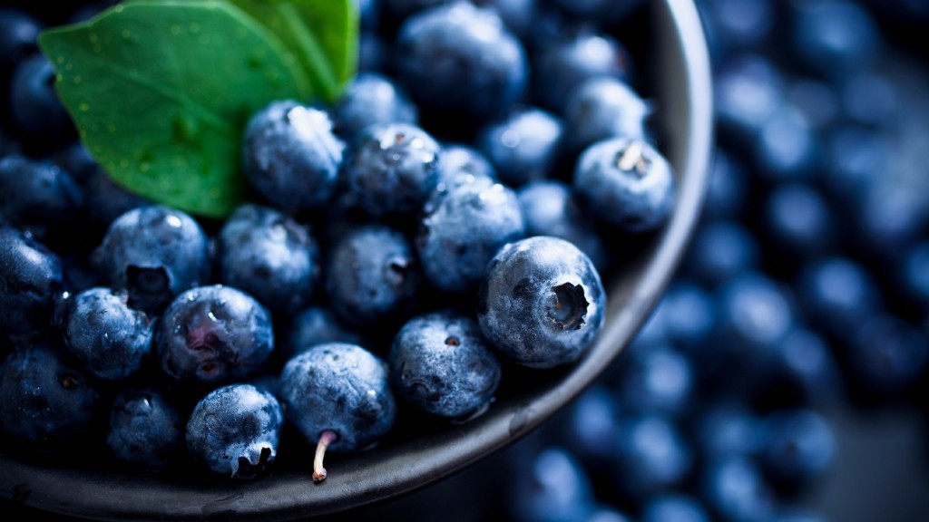 Mirtilo combate o envelhecimento: veja 30 benefícios da fruta