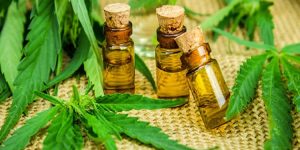 beneficios do oleo de cannabis