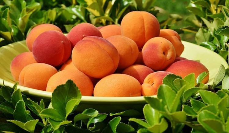 Pêssego é bom para visão: veja 32 benefícios da fruta