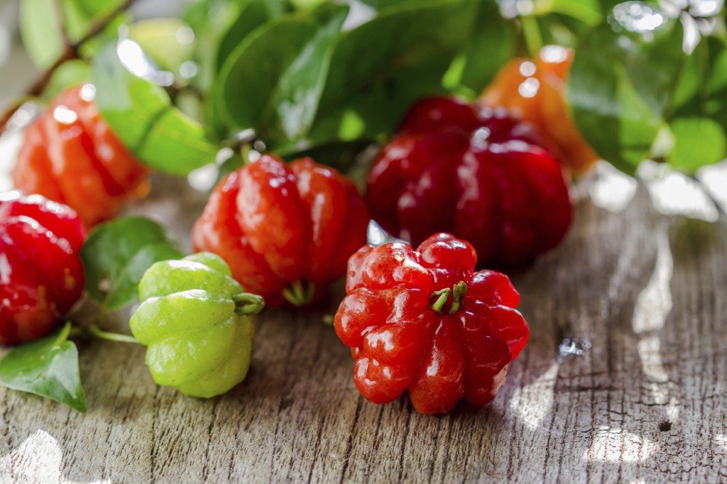 Pitanga faz bem para os pulmões: veja 30 benefícios da fruta