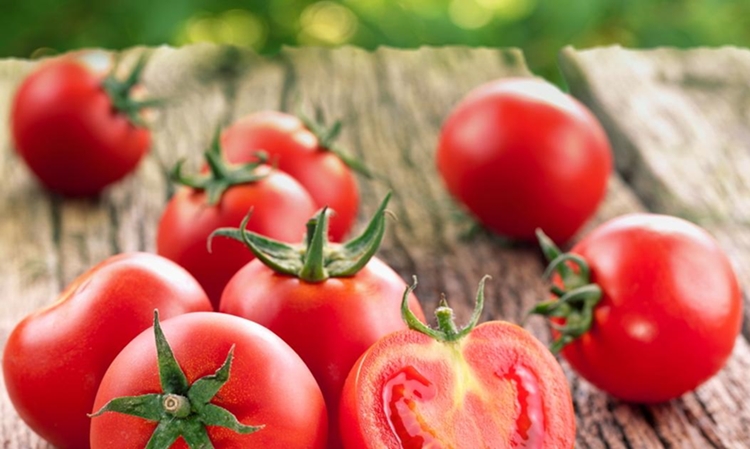 Tomate Melhora a digestão: veja 30 benefícios da fruta