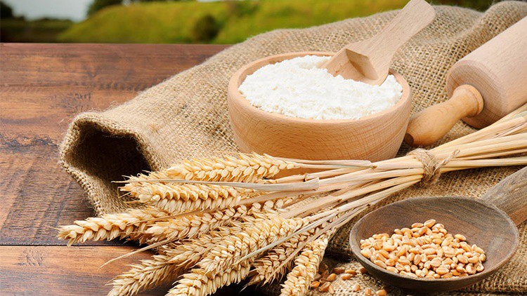 quais os principais benefícios do trigo?