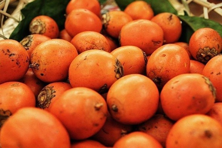 Tucum ajuda na redução do colesterol: veja 23 benefícios do fruto