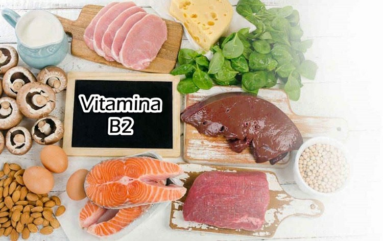 para que serve a vitamina B2?