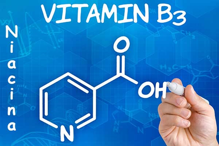 Vitamina B3: o que é, fontes, benefícios e malefícios