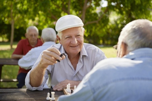 alimentos para alzheimer