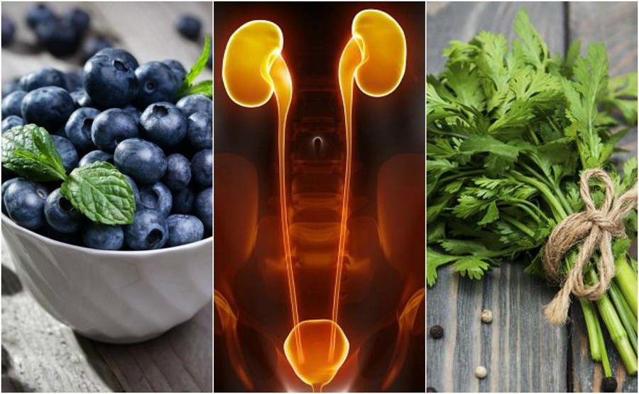 10 alimentos que melhoram a função dos rins naturalmente