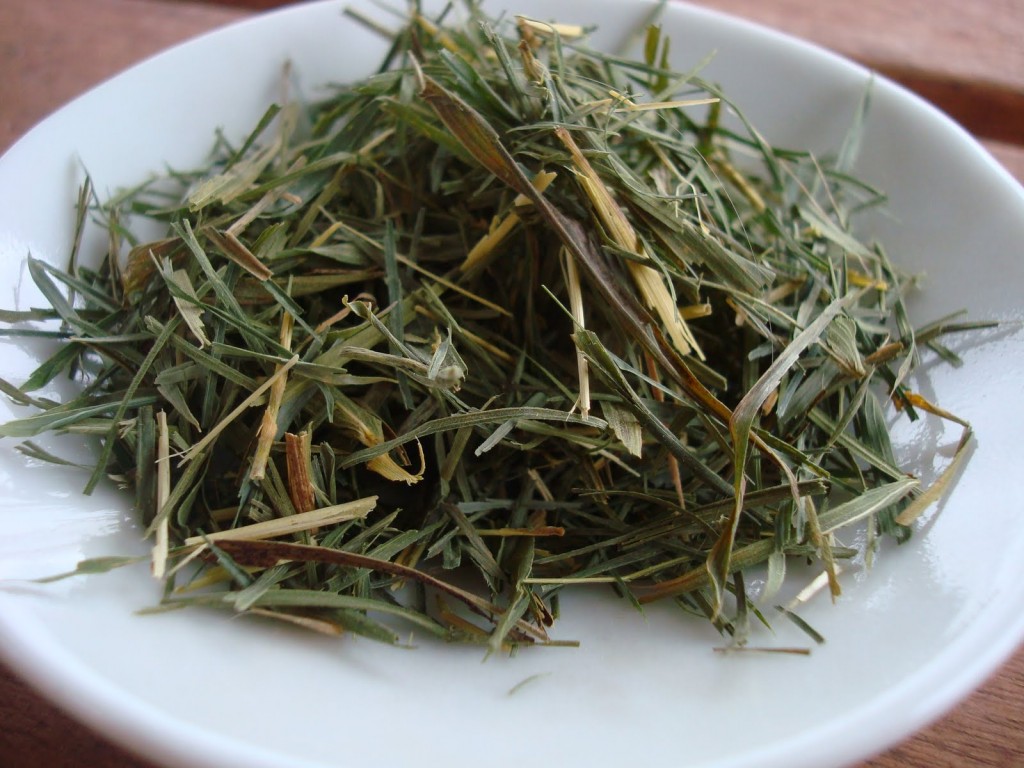 Chá de Bambu ajuda a curar feridas: veja 10 benefícios