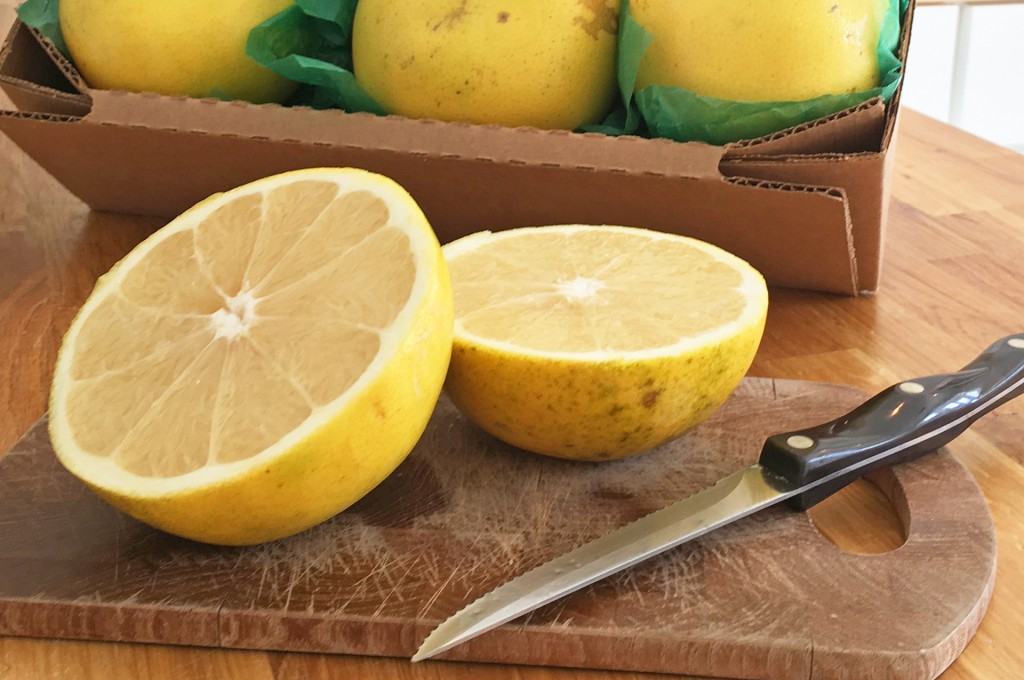 a toranja branca combate a insônia