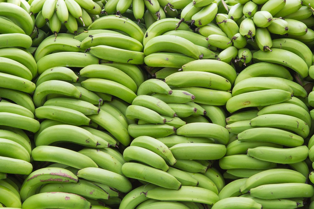 quais os benefícios da banana verde?