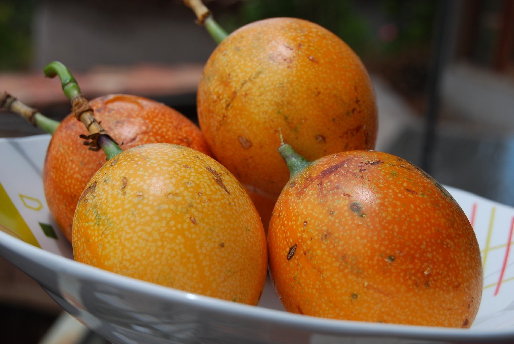 Granadilha previne derrames: veja 22 benefícios da fruta