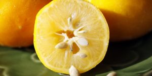 benefícios da semente de limao